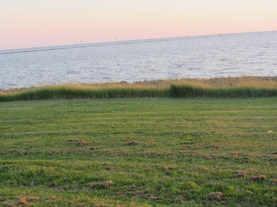 Nordsee Und Natur. Gemuetliche Fewo Mit Deichblick Dorum-Neufeld Exterior foto
