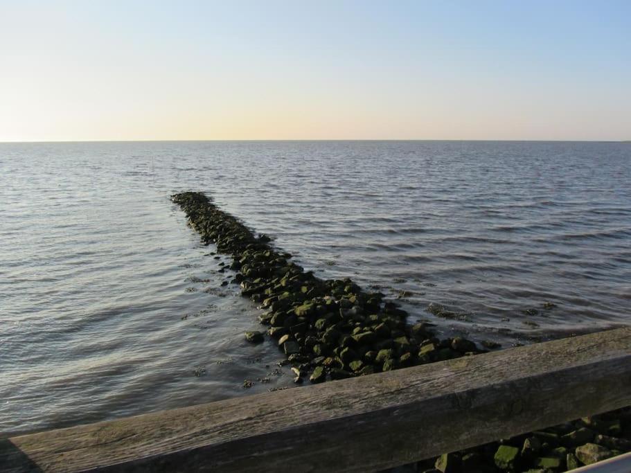 Nordsee Und Natur. Gemuetliche Fewo Mit Deichblick Dorum-Neufeld Exterior foto